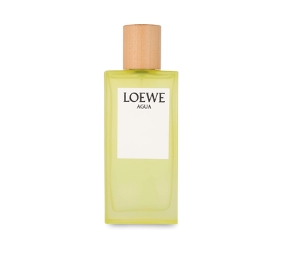 Loewe Agua Loewe Eau De Toilette 100ml Spray