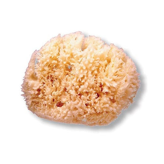 Suavinex Esponja Natural Grande