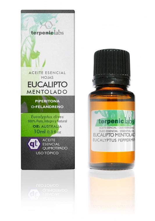 AE EUCALIPTO MENTOLADO 10ml